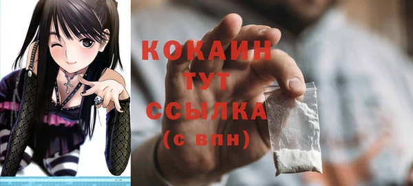 стаф Богданович
