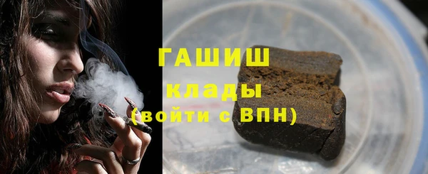 стаф Богданович