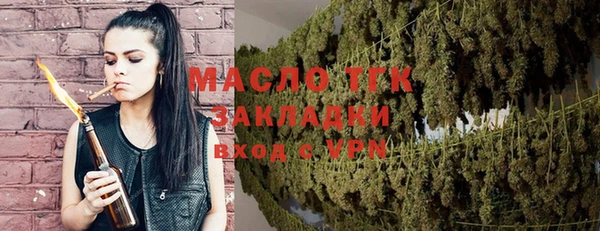 шишки Бородино