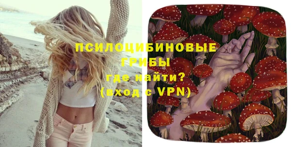 стаф Богданович