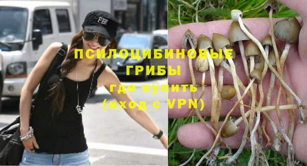 шишки Бородино