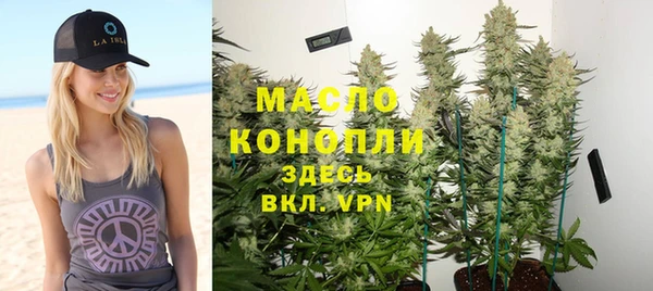 стаф Богданович