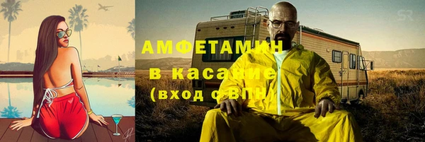 стаф Богданович