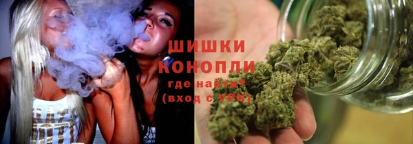 молекула духа Сатка